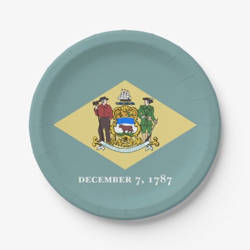 Delaware State Flag Paper Plates