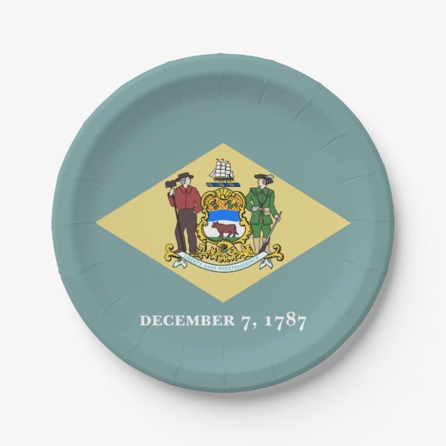 Delaware State Flag Paper Plates (Front)
