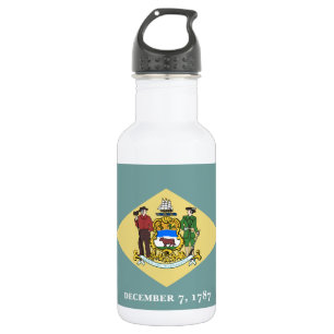 Delaware State Flag Stainless Steel Water Bottle