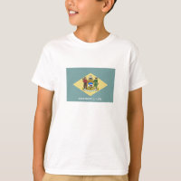 Delaware State Flag