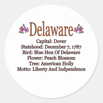 Delaware State Info Sticker by slowtownemarketplace at Zazzle