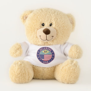 Delaware Teddy Bear