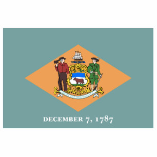 Delaware The Diamond US State Flag Cutout
