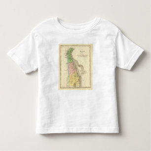 Delaware US Toddler T-shirt