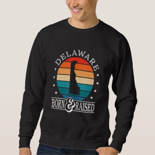 Delaware Usa Born  Raised Retro Us State Pride Sweatshirt