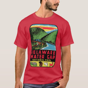Delaware Water Gap Vintage Style Decal Oversized T-Shirt