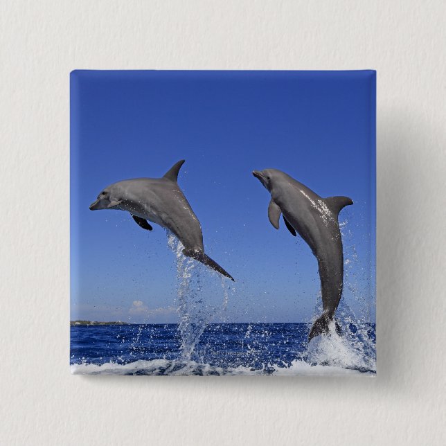 Delfin 2 pinback button (Front)