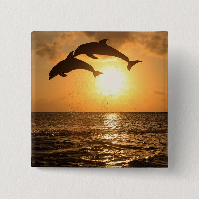 Delfin 3 pinback button (Front)