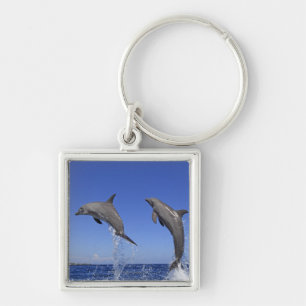 Delfin,Delphin,Grosser Tuemmler,Tursiops 3 Keychain