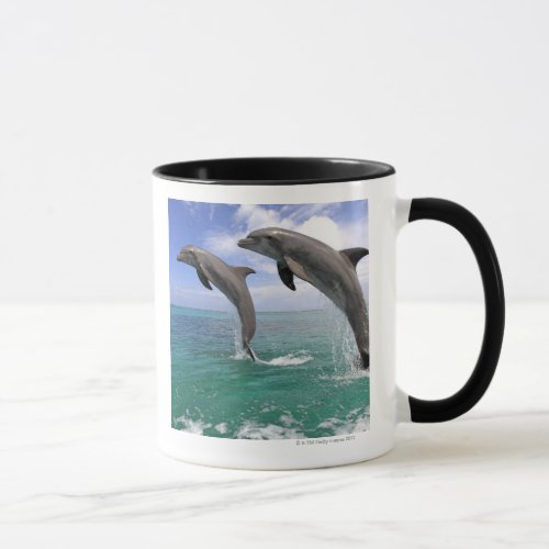 DelfinDelphinGrosser TuemmlerTursiops 4 Mug