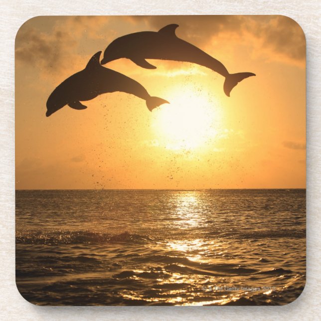 Delfin,Delphin,Grosser Tuemmler,Tursiops Beverage Coaster (Front)