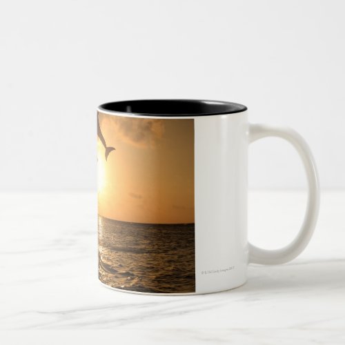 DelfinDelphinGrosser TuemmlerTursiops Two_Tone Coffee Mug