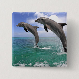 Delfin Pinback Button