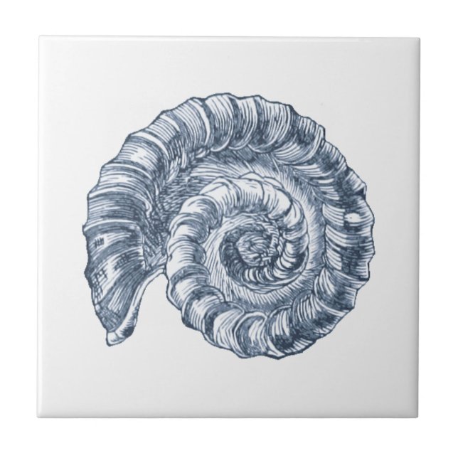 Delft Blue Ammonite Sea Shell Nautical Beach House Ceramic Tile (Front)