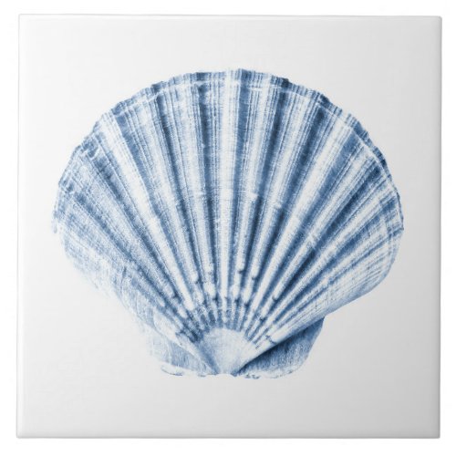 Delft Blue Clam Sea Shell Nautical Beach House Ceramic Tile