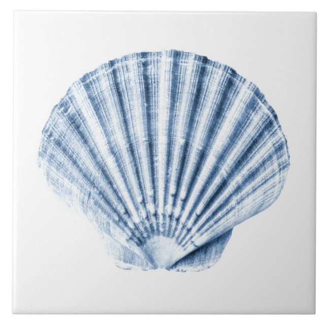 Delft Blue Clam Sea Shell Nautical Beach House Ceramic Tile (Front)