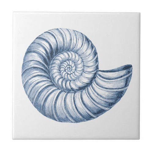 Delft Blue Nautilus Shell Nautical Beach House Ceramic Tile