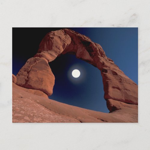 Delicate Arch  Arches National Park Utah Postcard