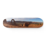 Delicate Arch I at Arches National Park Skateboard