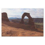 Delicate Arch I at Arches National Park Tissue Paper