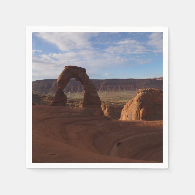 Delicate Arch II at Arches National Park Napkins (Front)