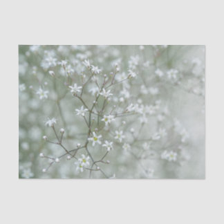 Delicate Baby's Breath Flower Botanical Photo Tissue Paper