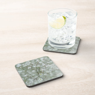 Delicate Baby's Breath Flower Nature Photography Beverage Coaster