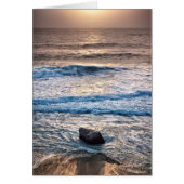 Delicate Beach Sunset (Front)