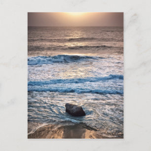 Delicate Beach Sunset Postcard