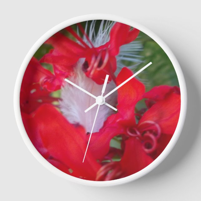 Delicate Beauty: Red Flower with White Feather Clock (Front)