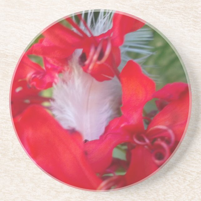 Delicate Beauty: Red Flower with White Feather Drink Coaster (Front)