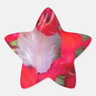 Delicate Beauty: Red Flower with White Feather Star Sticker