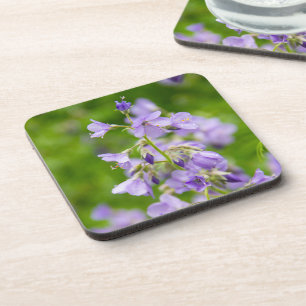 Delicate blue flowers on a green field in a spring beverage coaster