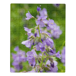 Delicate blue flowers on a green field in a spring jigsaw puzzle