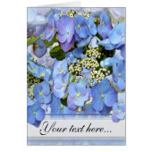 Delicate Blue Lacecap Hydrangea (Front)