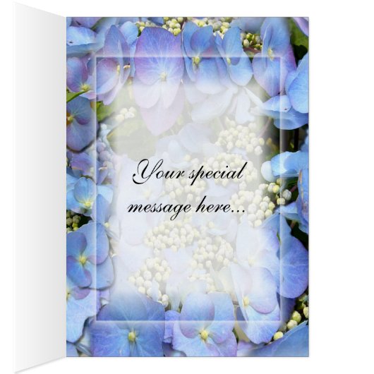 Delicate Blue Lacecap Hydrangea (Inside (Right))