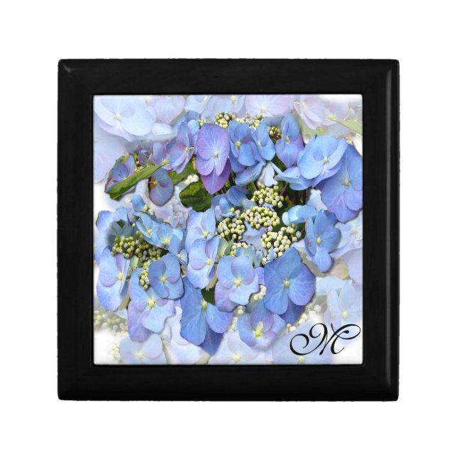 Delicate Blue Lacecap Hydrangea Gift Box (Front)