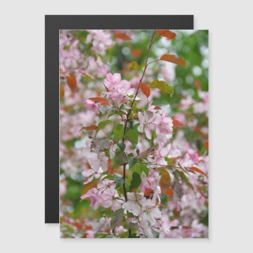 Delicate branch with flowers apple tree