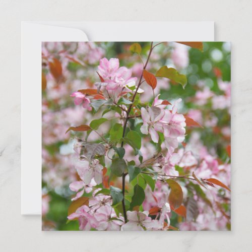 Delicate branch with flowers apple tree invitation
