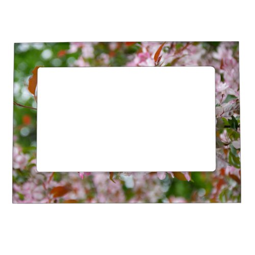 Delicate branch with flowers apple tree magnetic frame