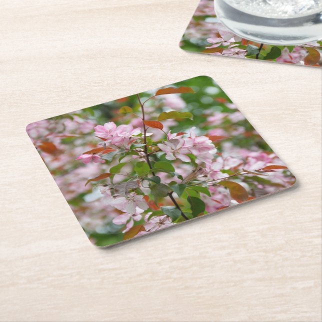 Delicate branch with flowers apple tree square paper coaster (Angled)