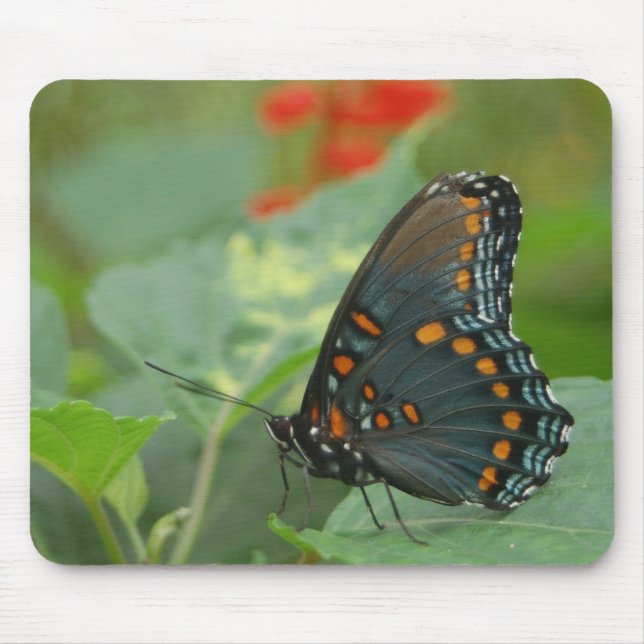 Delicate Butterfly Mouse Pad (Front)