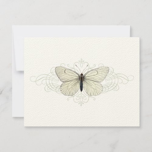 Delicate Butterfly Notecard
