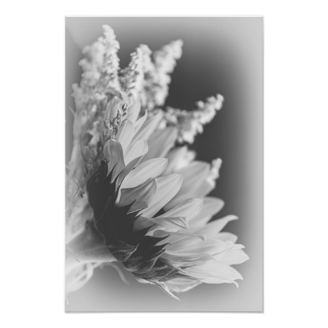 Delicate Contrast 2 Photo Print (Front)