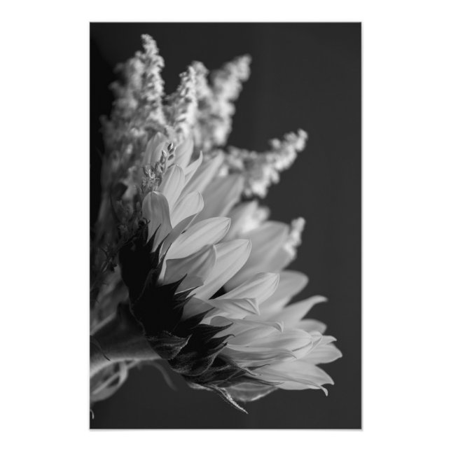 Delicate Contrast Photo Print (Front)