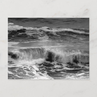 Delicate Curling Waves in Monochrome Postcard