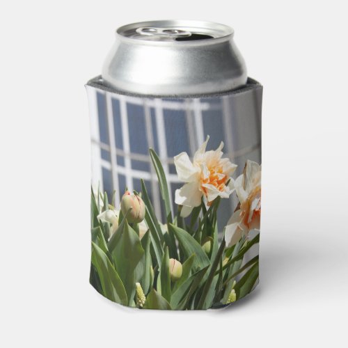 Delicate cute daffodils spring   can cooler