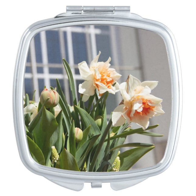 Delicate cute daffodils spring   compact mirror (Front)