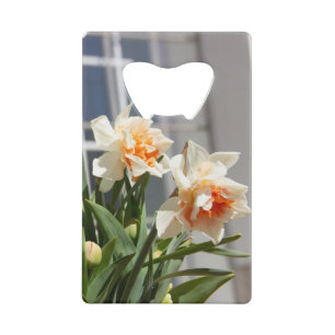 Delicate cute daffodils spring   credit card bottle opener