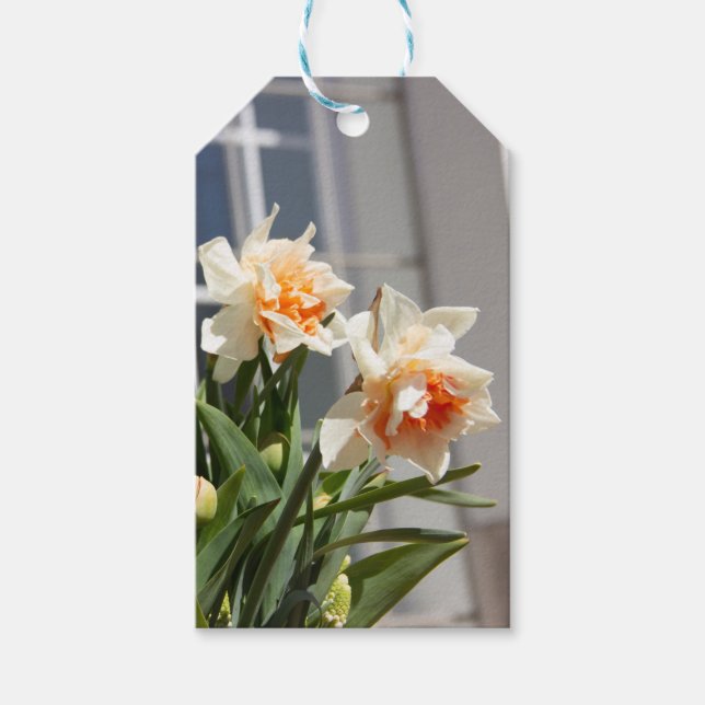 Delicate cute daffodils spring    gift tags (Front)